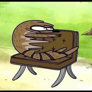 Meet your Posher, Leo